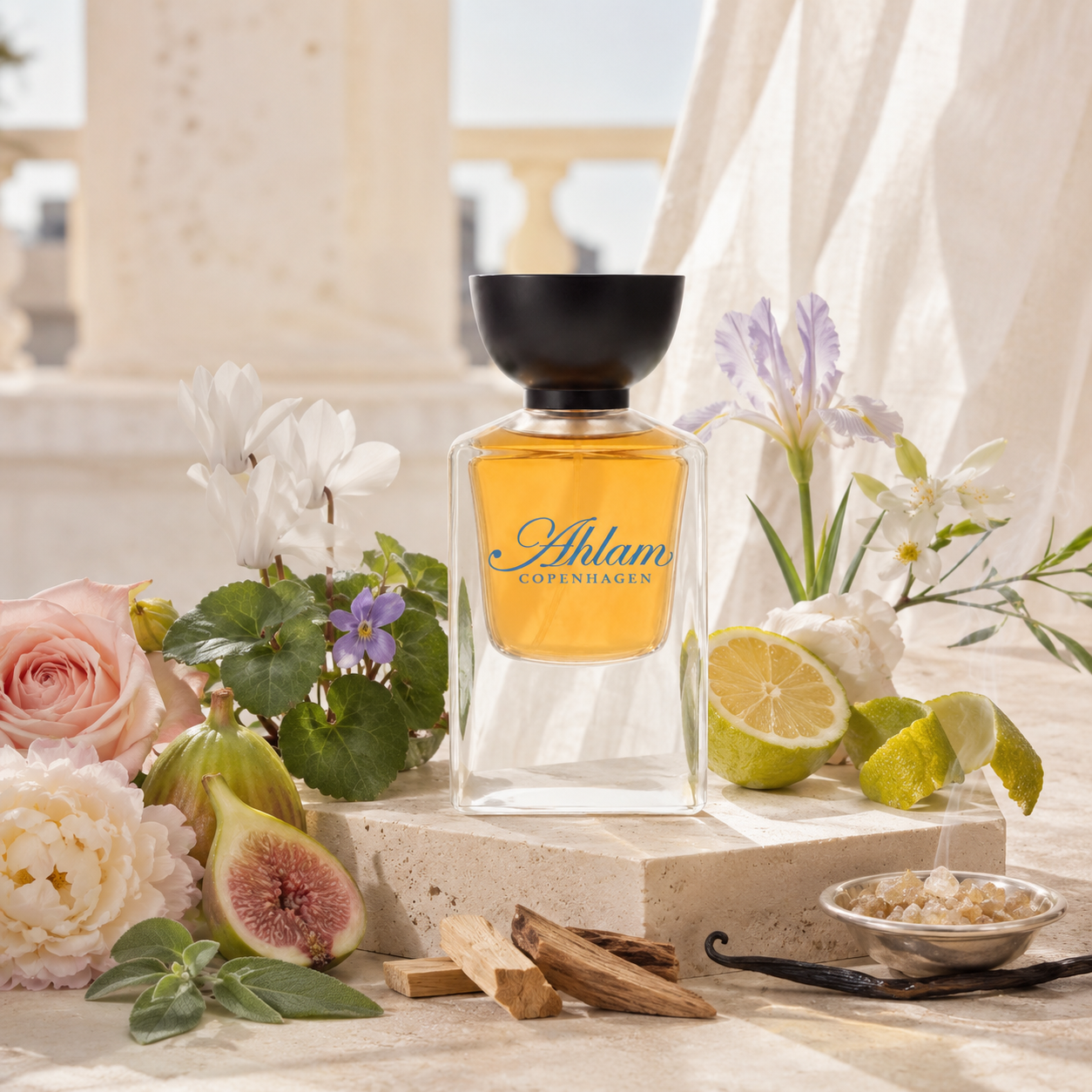 NOBLE BROOM - DIA WOMEN