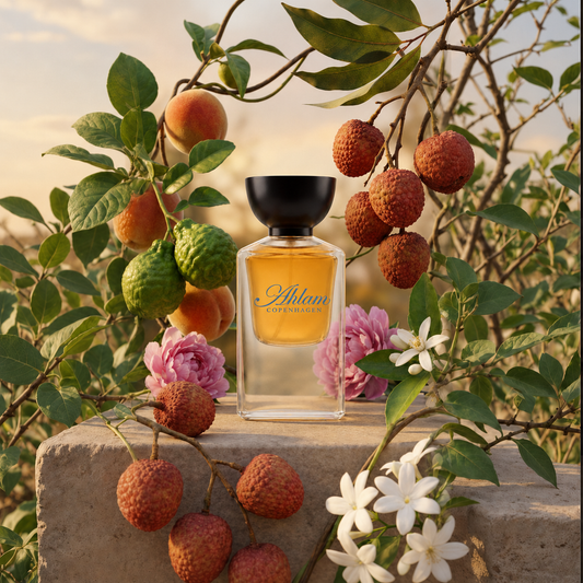 SUNSET IN HEAVEN - NARCOTIQUE FLEUR